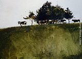 Andrew Wyeth Canvas Paintings - Shadey Trees